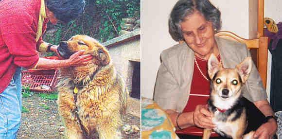 protectora redencion