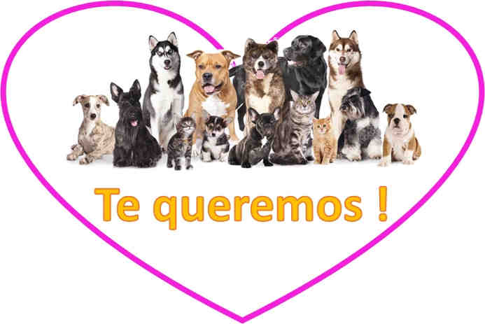 gracias protectora redencion